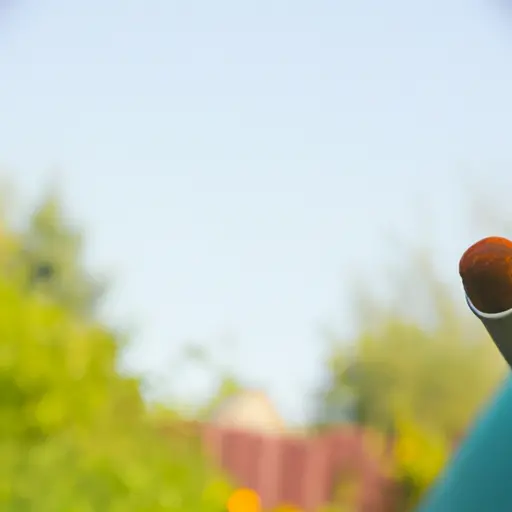 Community Garden Volunteer Briefing - Advanced English Learning Podcast - LexiTalk